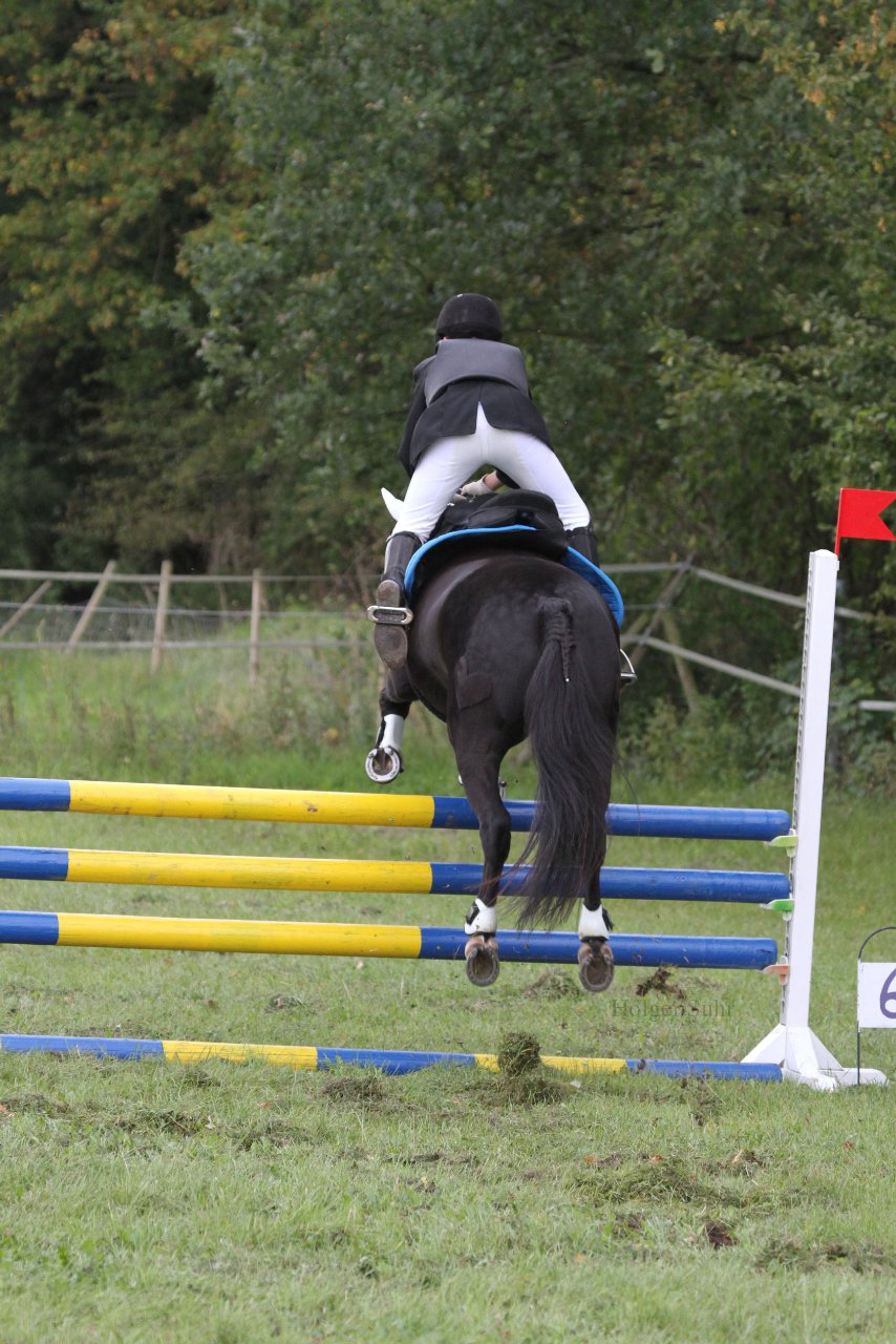 Bild 1381 - WBO-Turnier am 18.9.11